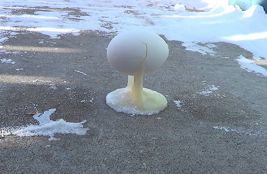 Видео: Как приготовить замороженную яичницу 