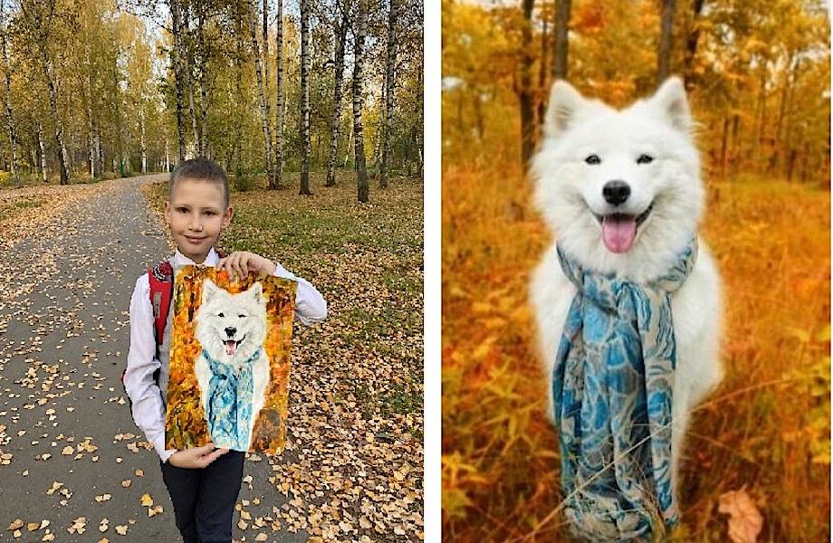 Мальчик из России рисует собак из разных стран, чтобы найти хозяев бездомным животным