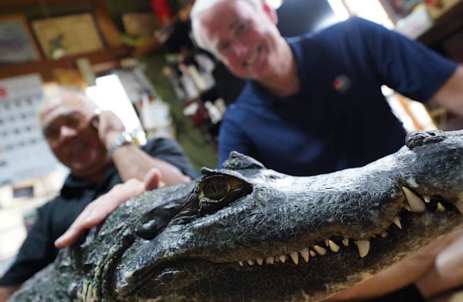 В японской семье уже сорок лет живет необычный питомец ― крокодил
