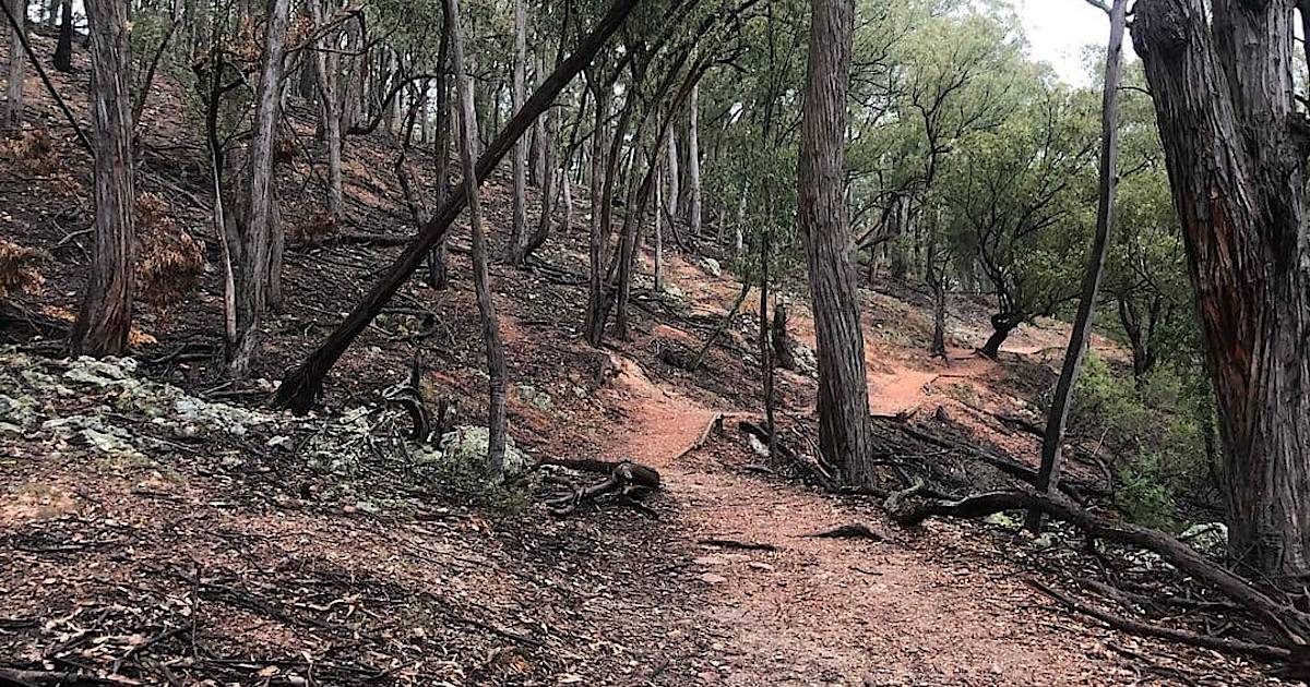 Горящая гора в австралии