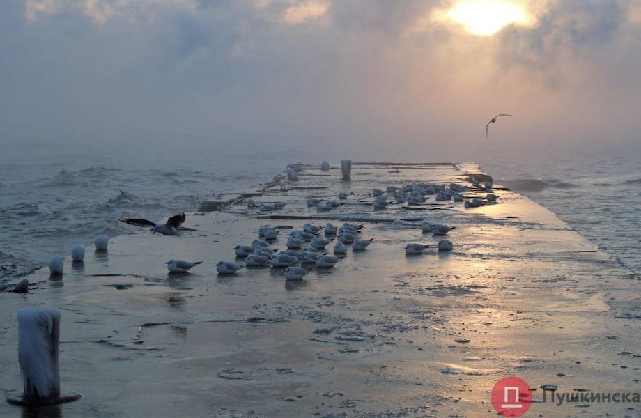 Из-за рекордных морозов «задымило» Черное море