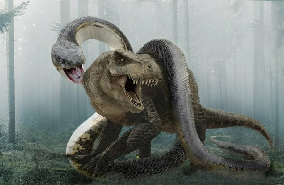 Видео: Что, если бы самая большая древняя змея на планете до сих пор жила