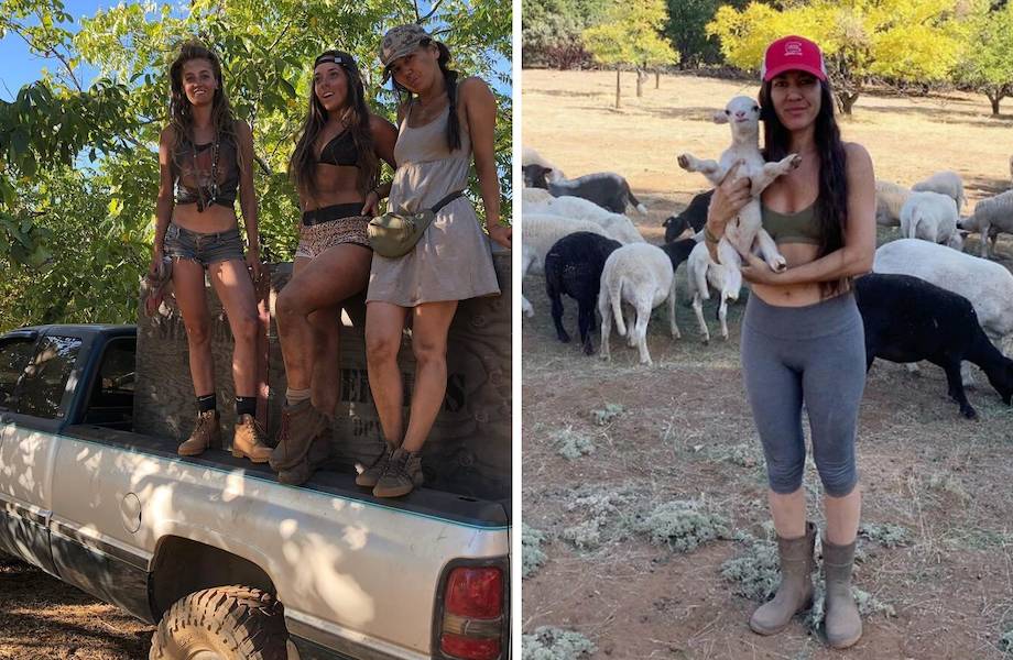 Три девушки уехали из города на ферму: как им удается самим вести огромное хозяйство 