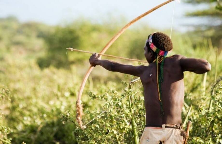 Видео: Почему отравленные стрелы считались самым коварным оружием древности