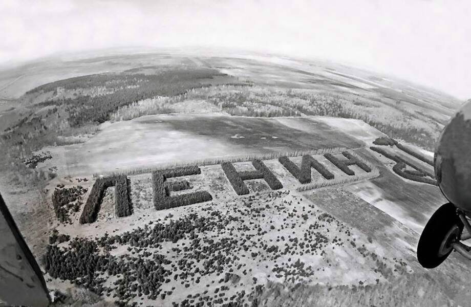 Советские геоглифы: как в СССР создавали леса в форме слов