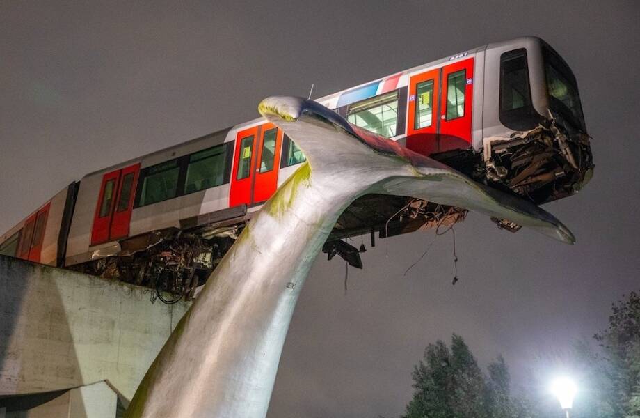 Невероятный случай: как сошедший с рельсов поезд спасла скульптура в виде хвоста кита