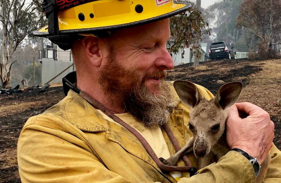 17 фото пожарных и спасенных ими животных, ради которых люди рискнули жизнью