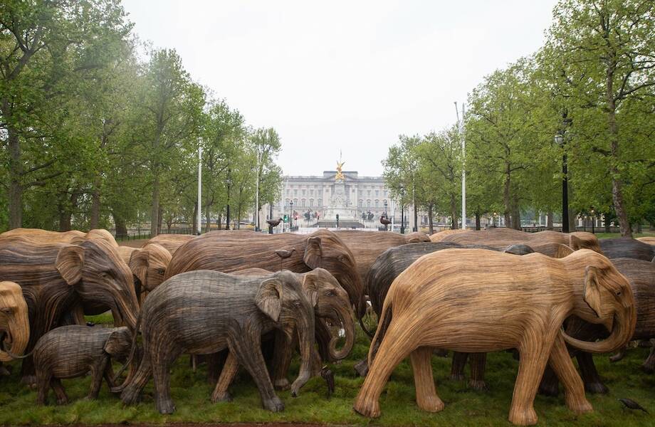 Откуда у Букингемского дворца появилось стадо слонов