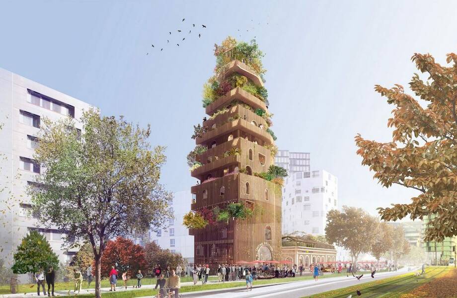 Архитекторы Франции не могут закончить проекты из-за взлета цен на дерево