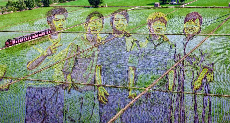 Фото дня: рисунок на рисовых полях в Китае