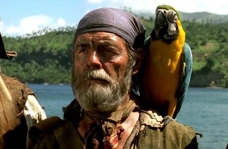 Не просто питомец: зачем в действительности пираты заводили попугаев
