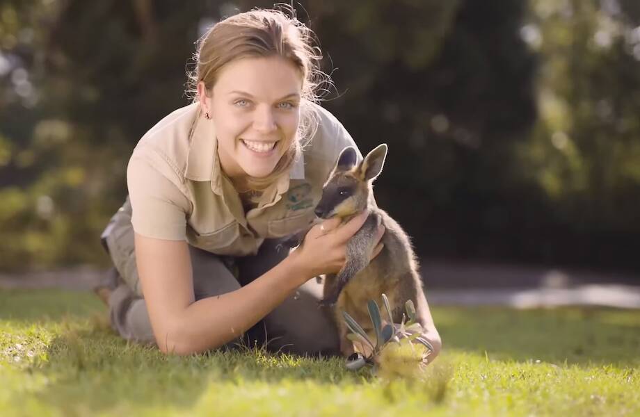 Видео: Почему австралийский зоопарк Symbio считается самым лучшим в мире 