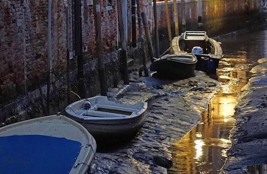 Видео: Что открылось людям, когда обмелели каналы Венеции