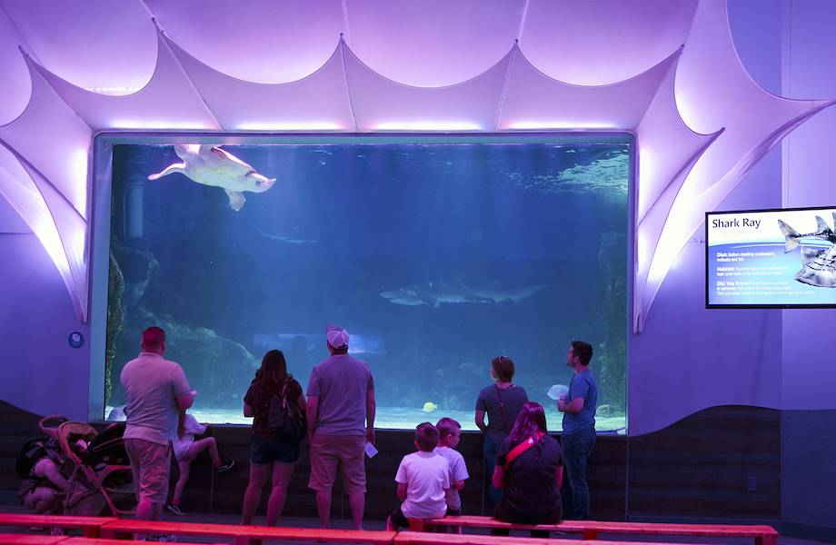 10 самых необычных аквариумов мира