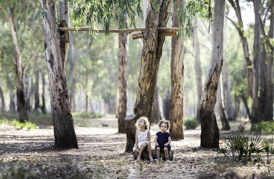 Для чего детские сады Финляндии решили выращивать свои собственные леса Для чего детские сады Финляндии решили выращивать свои собственные леса