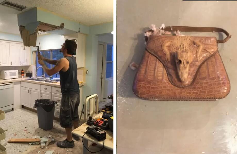 Видео: Парень разбирал старый потолок, и на него свалилась сумка из кожи крокодила