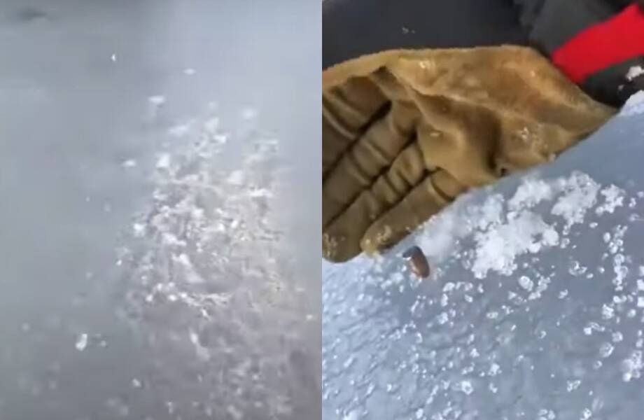 Видео: Что будет, если выстрелить пулей в твердый лед — очень необычный эффект