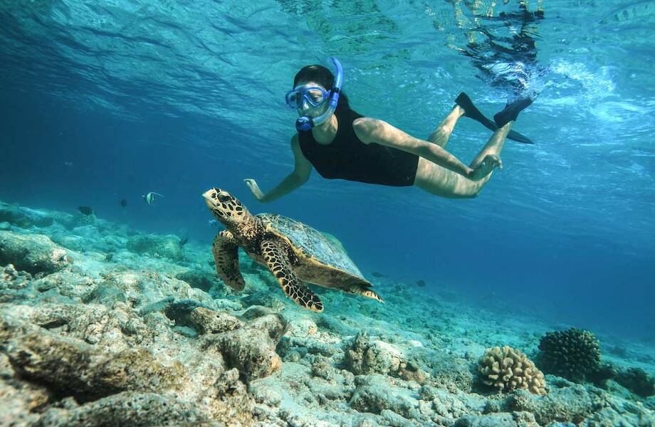 Baros Eco Explorer — незабываемые впечатления и помощь в сохранении природы Мальдив