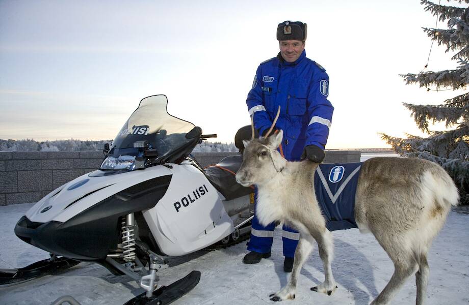 Полицейский олень и 16 других мемов о Финляндии, которые заставят влюбиться в финнов