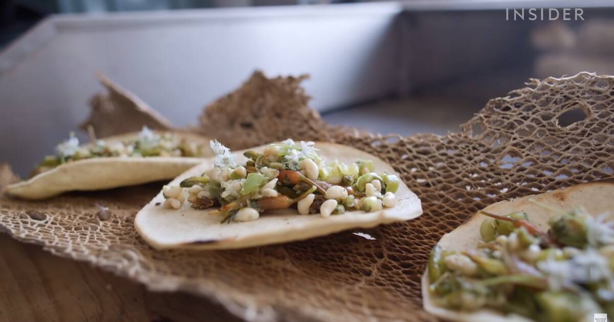 Видео: Почему полкило муравьиных яиц стоит как 3 килограмма красной икры