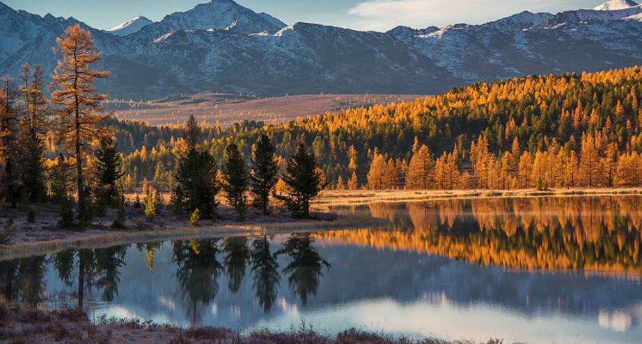 Фото дня: осень в Алтайских горах