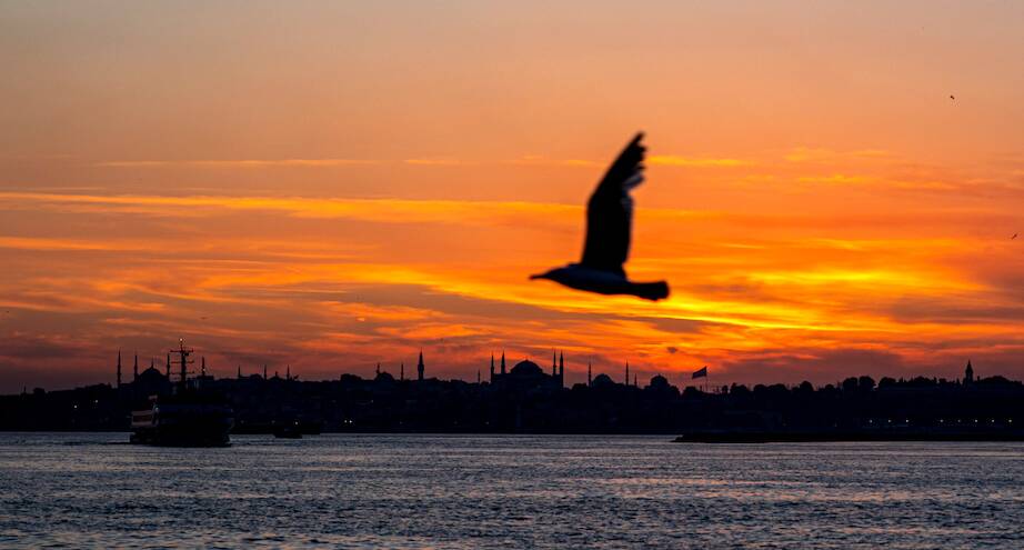 Фото дня: Стамбул на закате