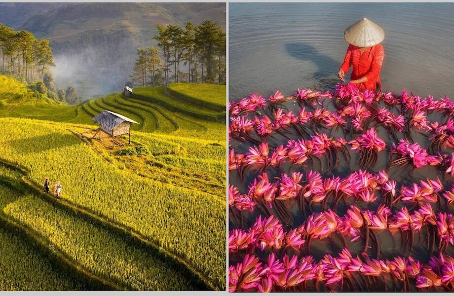 14 потрясающих фото, которые заставят влюбиться во Вьетнам