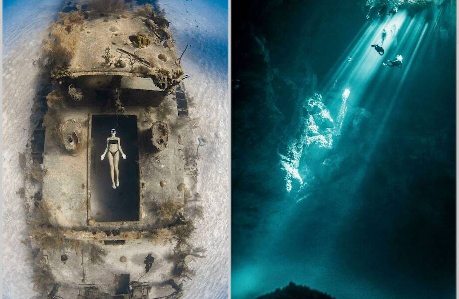 14 самых волшебных фотографий, сделанных под водой