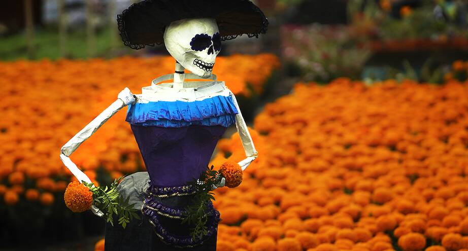 Фото дня: День мертвых в Мексике