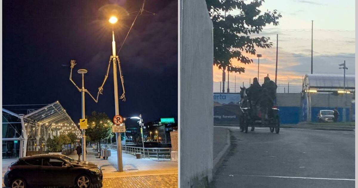 15 фото, которые очень хорошо передают характер Ирландии