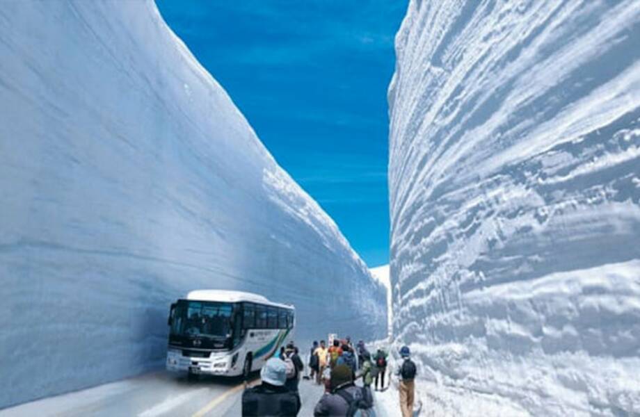 Туннель из снега: 16 фото о том, как выглядит самая снежная дорога планеты