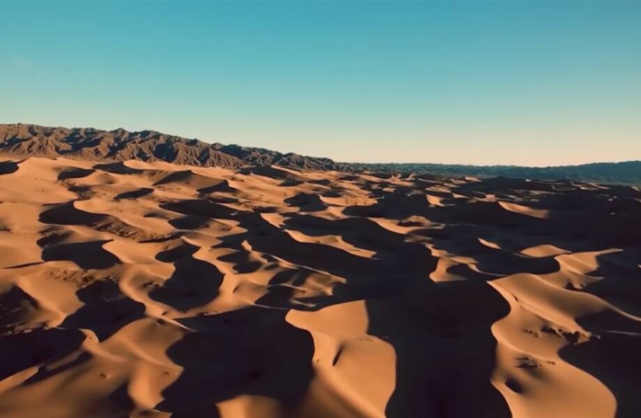 Видео: как пустыню Египта планируют превратить в оазис