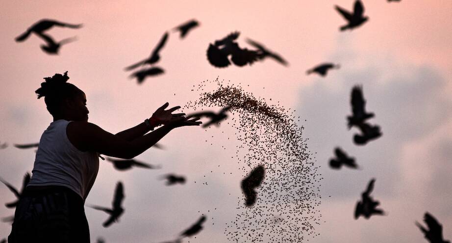 Фото дня: девушка подкармливает птиц