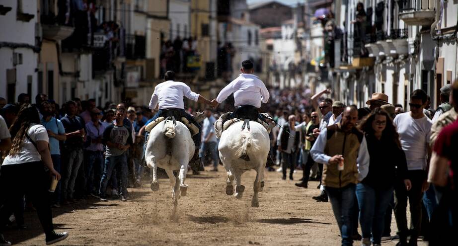 Фото дня: гонки на лошадях в Испании