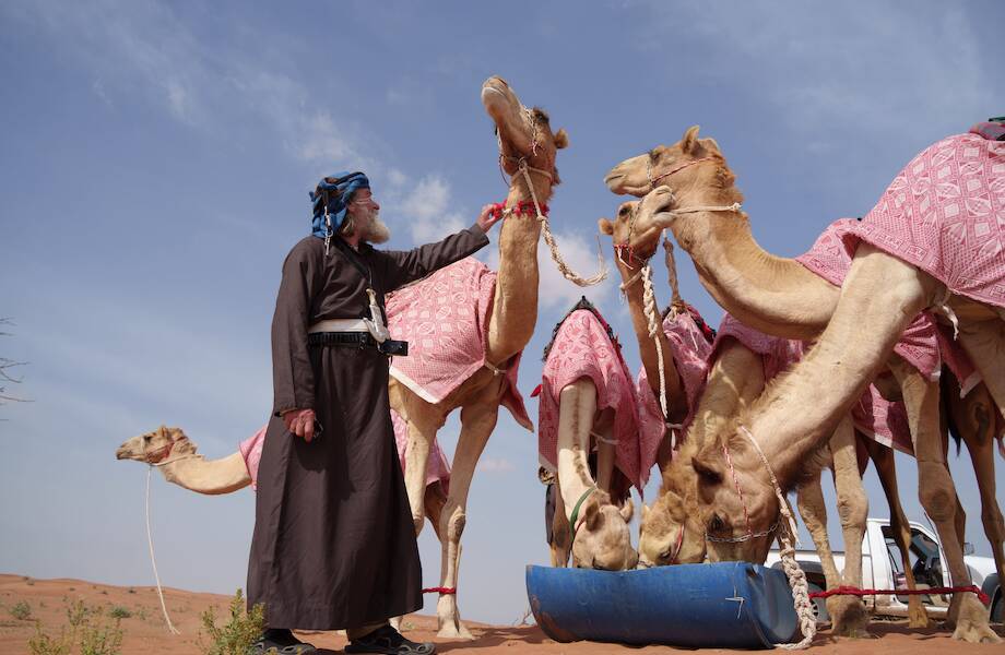 В ОAЭ завершилась первая в истории российско-арабская экспедиция на верблюдах