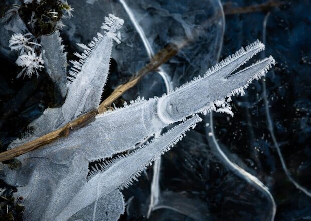 14 чарующих фото зимы, которая прекрасна в каждой детали