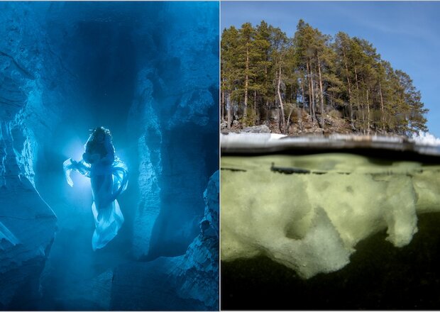 16 волшебных снимков Виктора Лягушкина, который снимает подводный мир