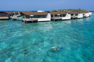 Полюбуйтесь миграцией скатов в The Westin Maldives Miriandhoo Resort