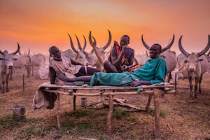 Африканский народ мундари, для которых коровы стали членами семьи