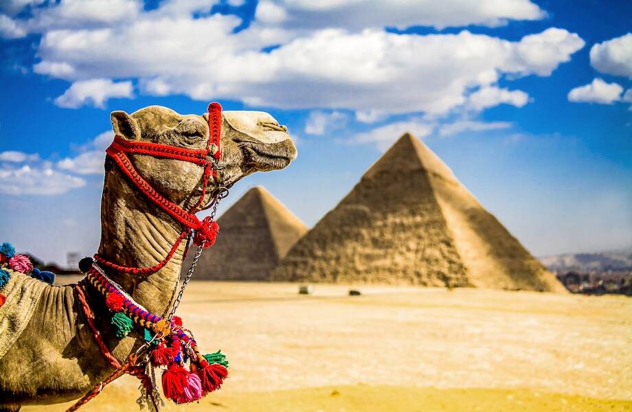 Туры в Египет от 28 700 ₽