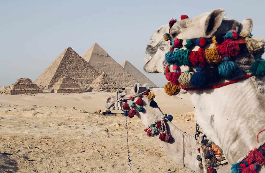 Туры в Египет от 20 120 руб. на октябрь