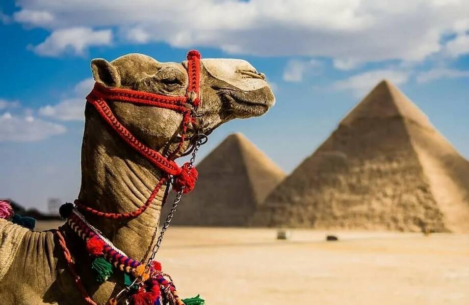 Туры в Египет от 17 300 руб